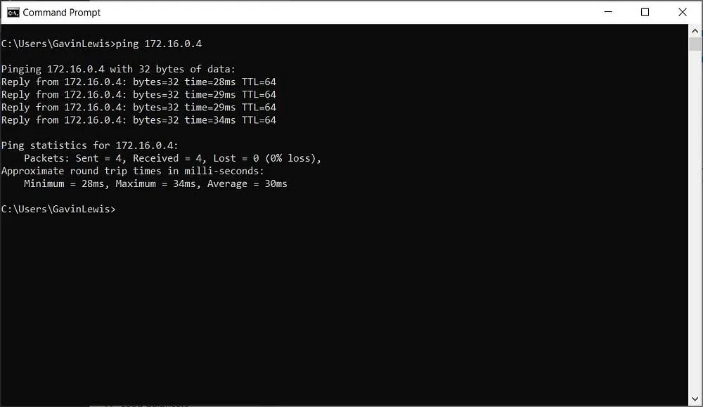 Network connectivity testing with ping